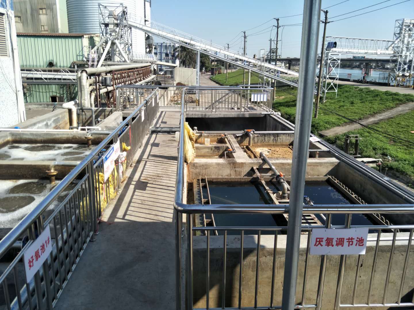 食品廢水植物處理技術(shù)，你知道嗎？