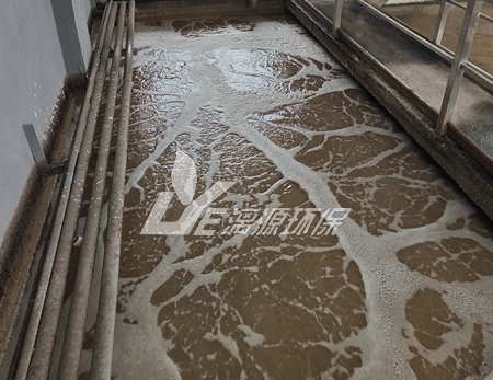 罐頭食品生產(chǎn)企業(yè)如何實(shí)現(xiàn)廢水達(dá)標(biāo)排放